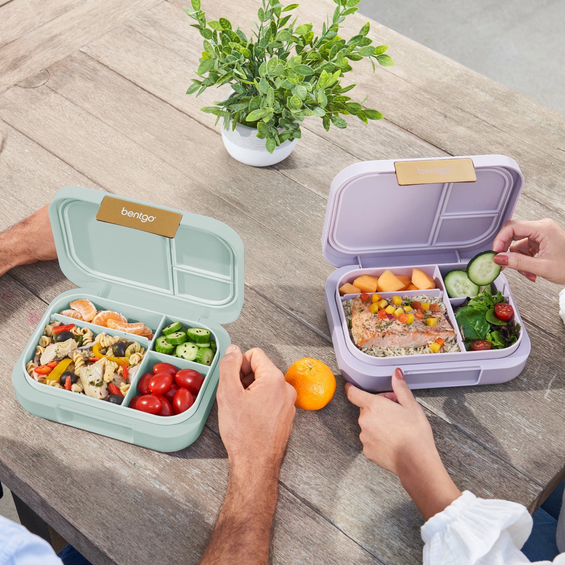 bentgo-modern-lunch-box-2-pack-c6 COSTCOBMCPRODUCTIMAGE_2.jpg